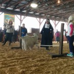 Nun at Leaping Llama Competition