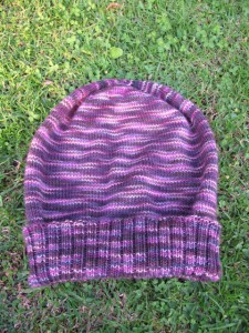  Sockhead Hat (from Socks That Rock, Lightweight)