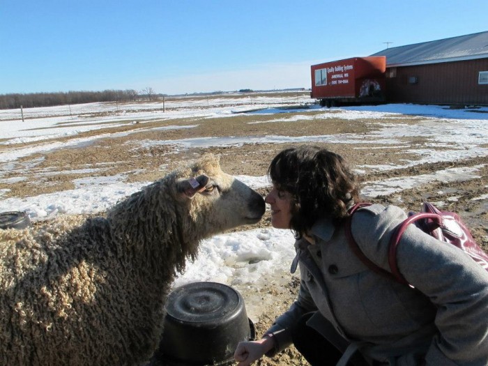 Deborah kissing sheep