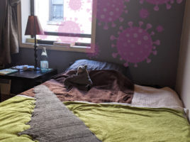 Shawl being blocked on a bed in a New York Apartment with Corona germs looming above